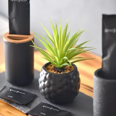 Tramuntana Apartment