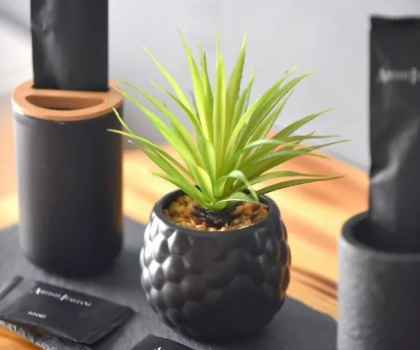 Tramuntana Апартаменты